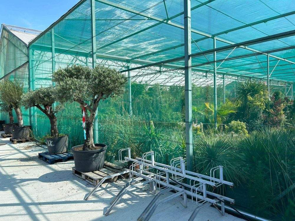 Estructuras de sombra planas
