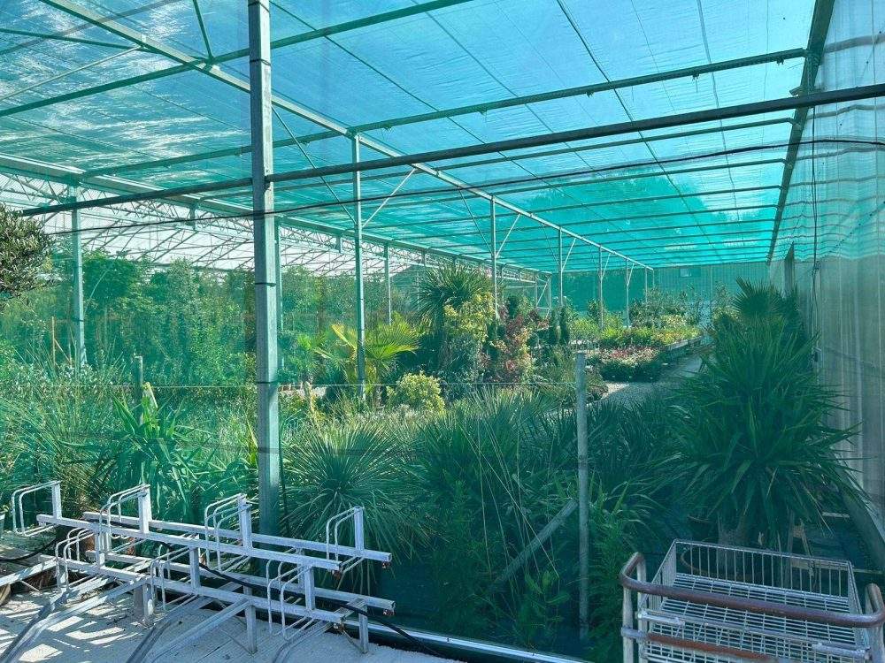 Estructuras de sombra planas - Imagen 3
