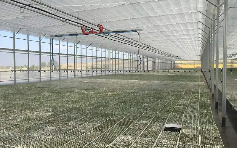 Progettazione e installazione sistemi di coibentazione e ombreggio Progettazione e installazione sistemi di coibentazione e ombreggio