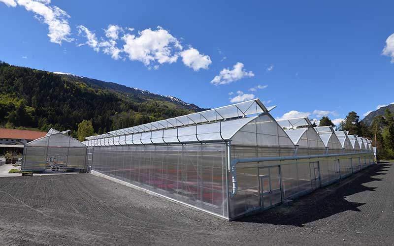Diseño de centro de jardinería. Progettazione garden center