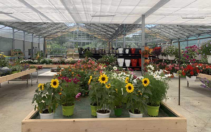 Venta de centros de jardinería. Vendita garden center