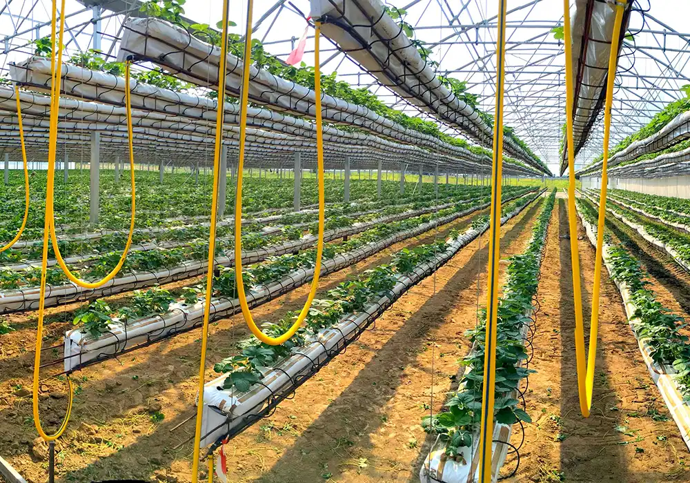 ingeniería de plantas Europrogress Impiantistica Europrogress