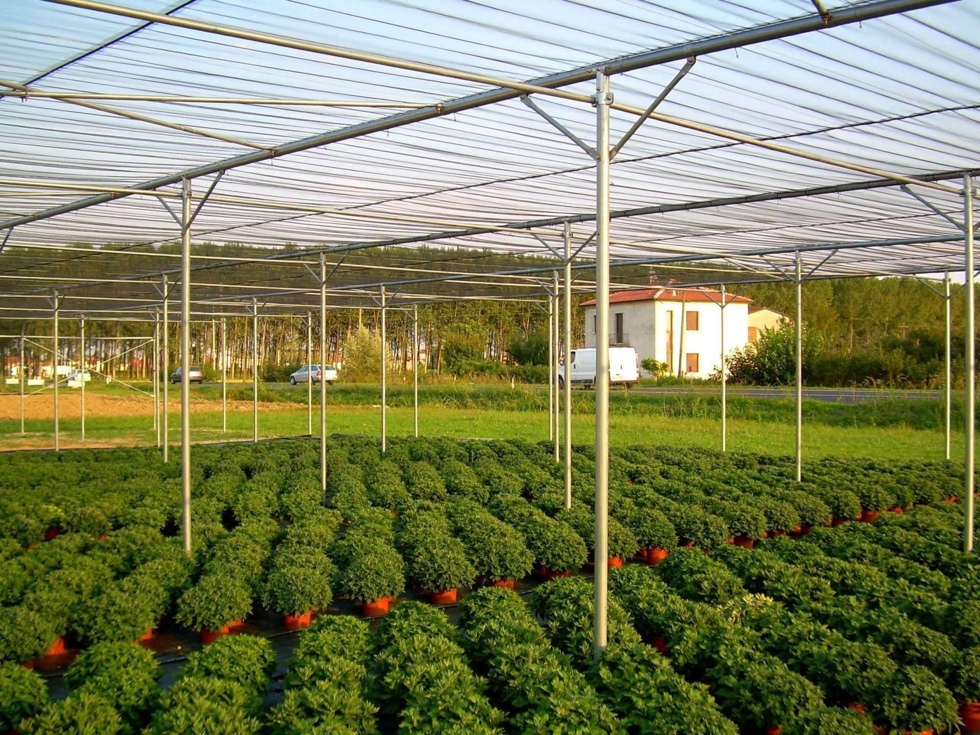 imgi 12 Ombraio piano Cliente.4 5000 scaled 1